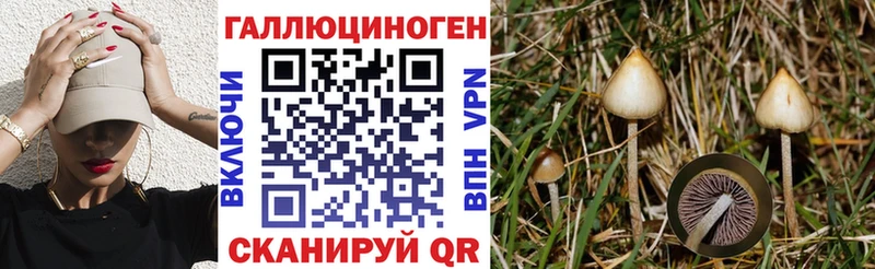 Галлюциногенные грибы Psilocybine cubensis  что такое наркотик  Тюкалинск 